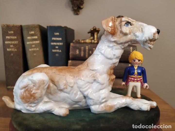 Antig&uuml;edades: PERRO PORCELANA SUREDA - Foto 1