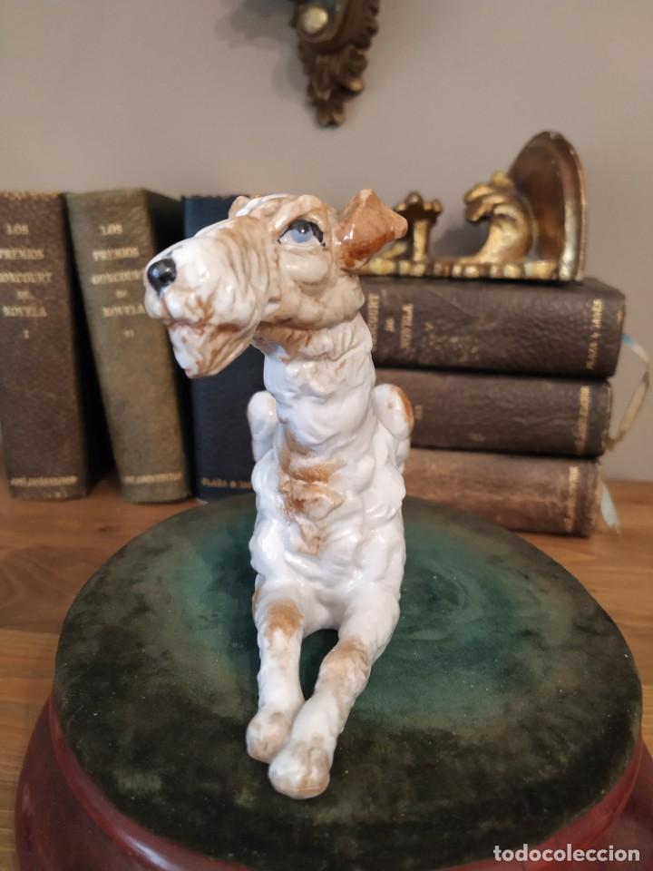 Antig&uuml;edades: PERRO PORCELANA SUREDA - Foto 2