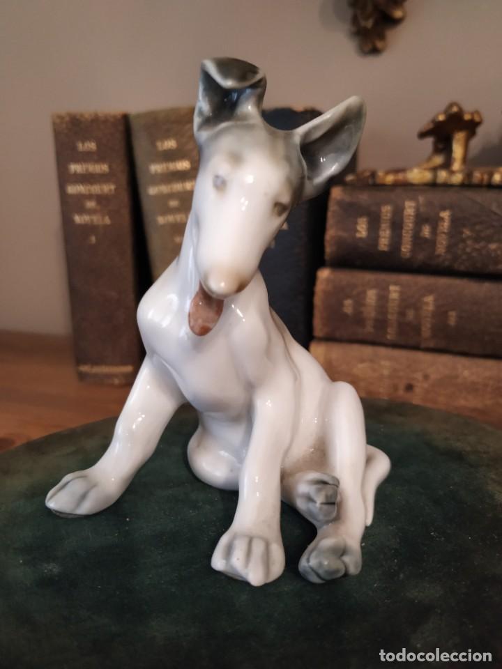 Antig&uuml;edades: PERRO PORCELANA GUISASOLA - Foto 2