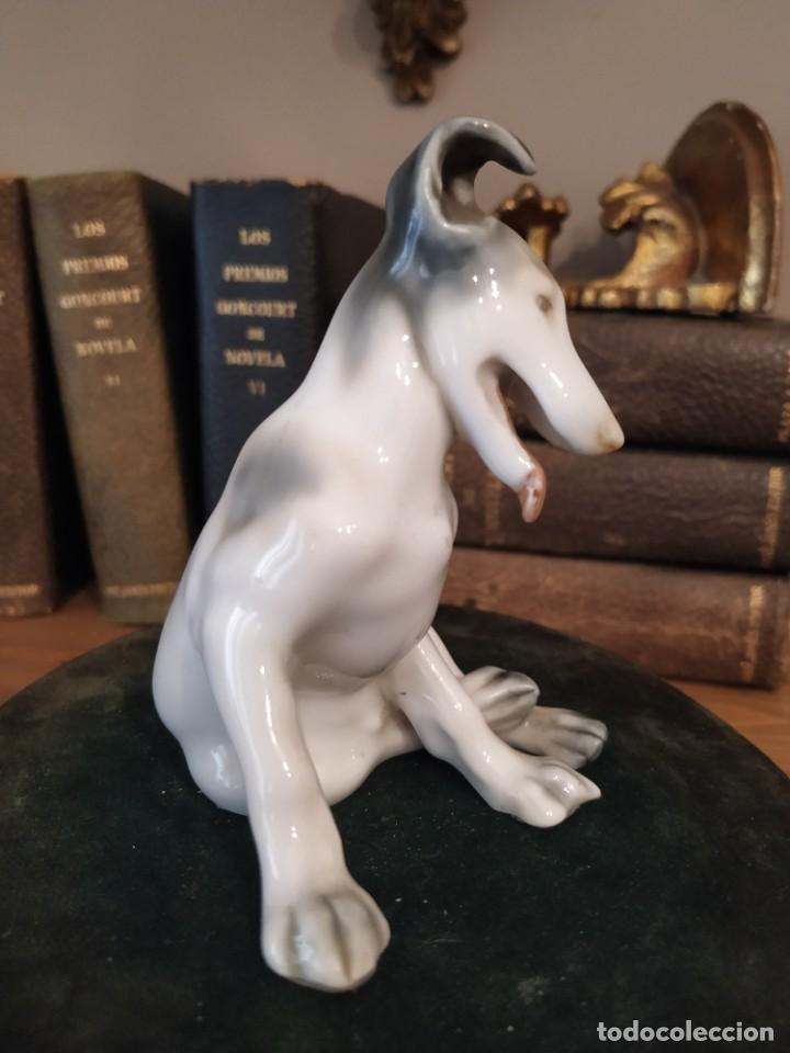 Antig&uuml;edades: PERRO PORCELANA GUISASOLA - Foto 3