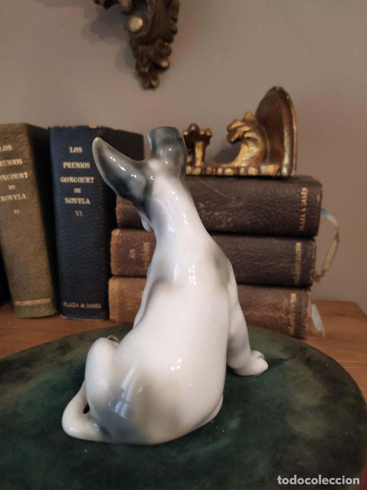 Antig&uuml;edades: PERRO PORCELANA GUISASOLA - Foto 5