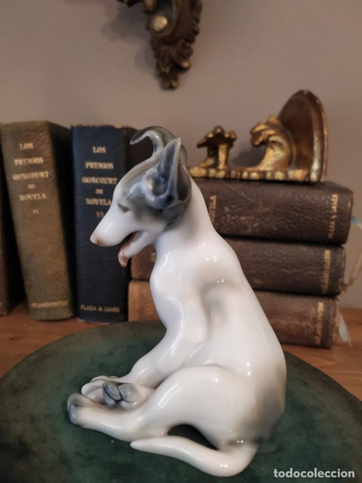 Antig&uuml;edades: PERRO PORCELANA GUISASOLA - Foto 6