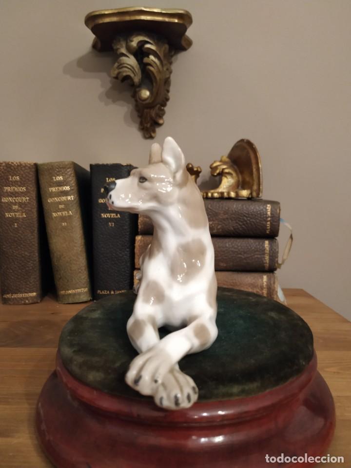Antig&uuml;edades: PERRO DOGO DE PORCELANA - Foto 2