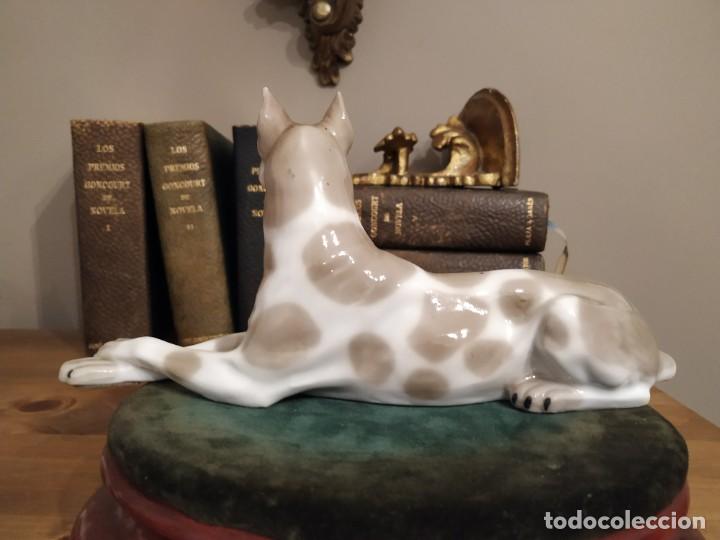 Antig&uuml;edades: PERRO DOGO DE PORCELANA - Foto 3