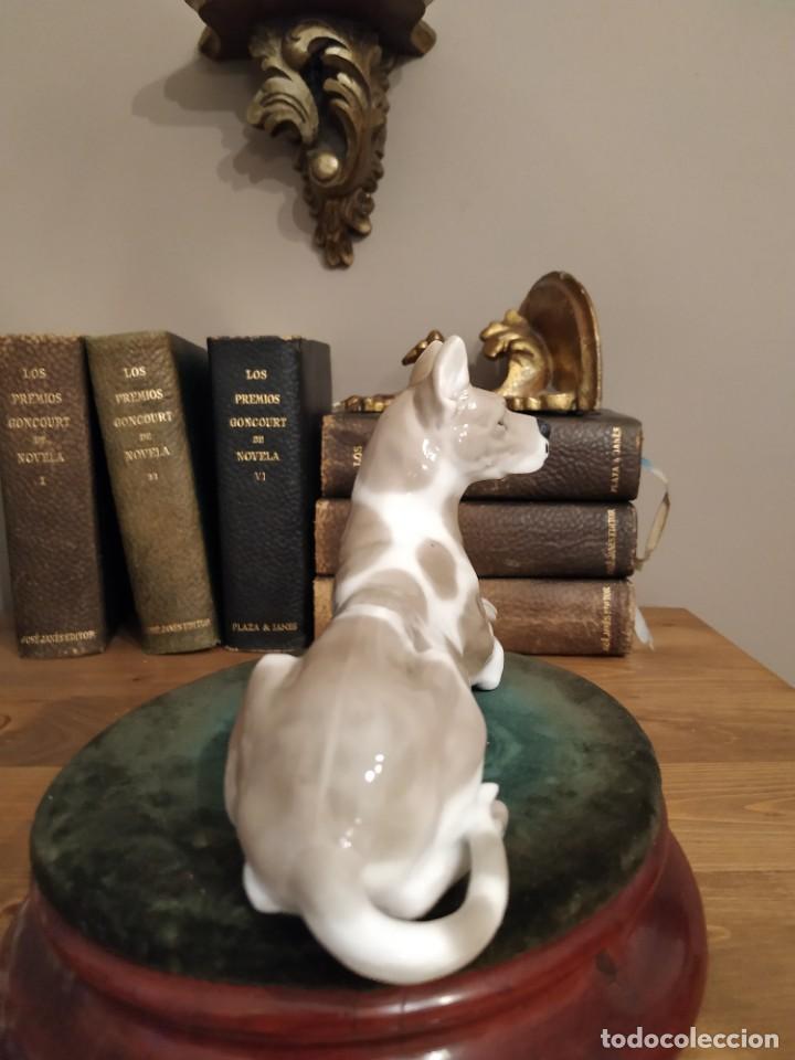 Antig&uuml;edades: PERRO DOGO DE PORCELANA - Foto 4