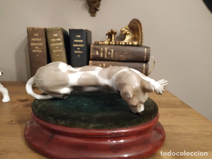 Antig&uuml;edades: PERRO DOGO DE PORCELANA - Foto 5