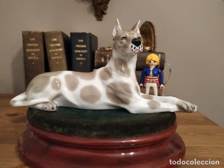 Antig&uuml;edades: PERRO DOGO DE PORCELANA - Foto 1
