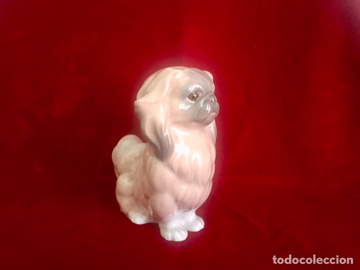 Antig&uuml;edades: Figura perro pequin&eacute;s de Lladr&oacute;. - Foto 2