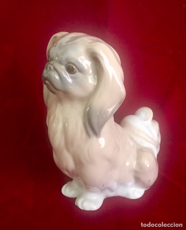 Antig&uuml;edades: Figura perro pequin&eacute;s de Lladr&oacute;. - Foto 4