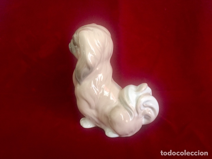 Antig&uuml;edades: Figura perro pequin&eacute;s de Lladr&oacute;. - Foto 5