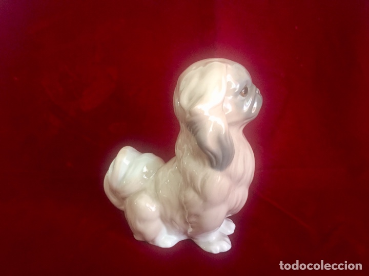 Antig&uuml;edades: Figura perro pequin&eacute;s de Lladr&oacute;. - Foto 7