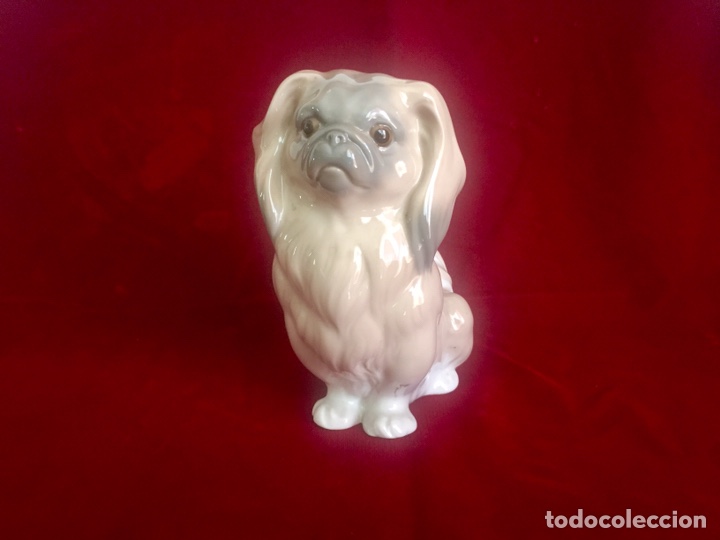 Antig&uuml;edades: Figura perro pequin&eacute;s de Lladr&oacute;. - Foto 9