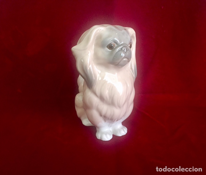 Antig&uuml;edades: Figura perro pequin&eacute;s de Lladr&oacute;. - Foto 1