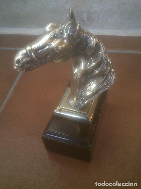 Antig&uuml;edades: CABEZA CABALLO ALPACA,SOBRE BASE DE MADERA. - Foto 1