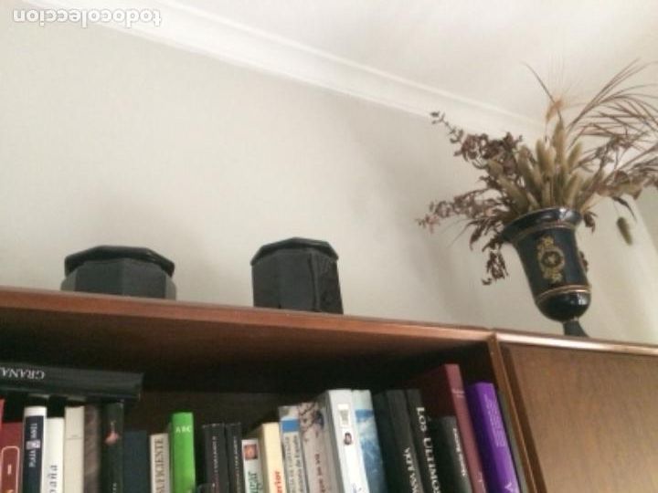Antig&uuml;edades: Pareja de botes de decoraci&oacute;n - Foto 3