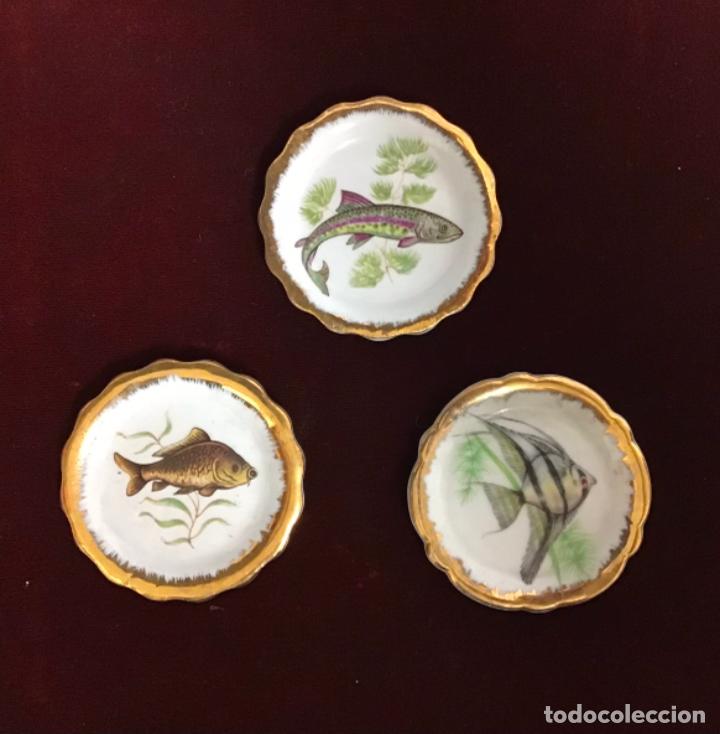 Antig&uuml;edades: PECES, ANTIGUOS PLATITOS DE COLECCION - Foto 1