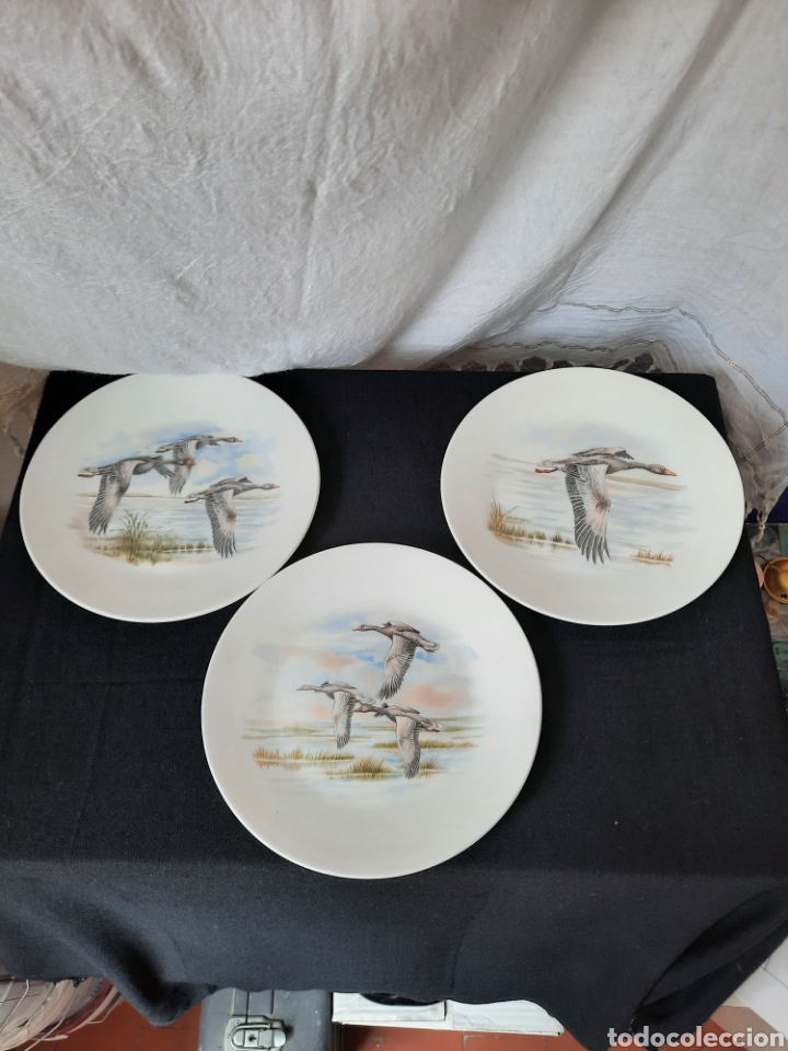 Antig&uuml;edades: Pontesa Oxford fine ware made in spain