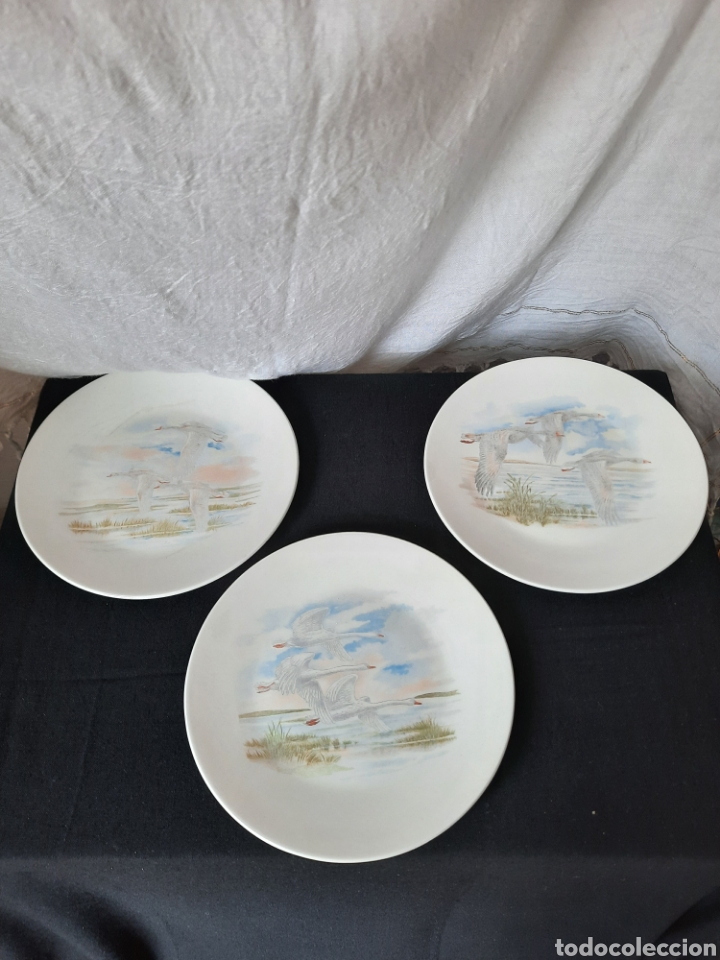 Antig&uuml;edades: Pontesa Oxford fine ware made in spain