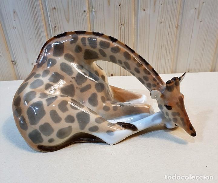 Antig&uuml;edades: FIGURA DE PORCELA - Foto 1