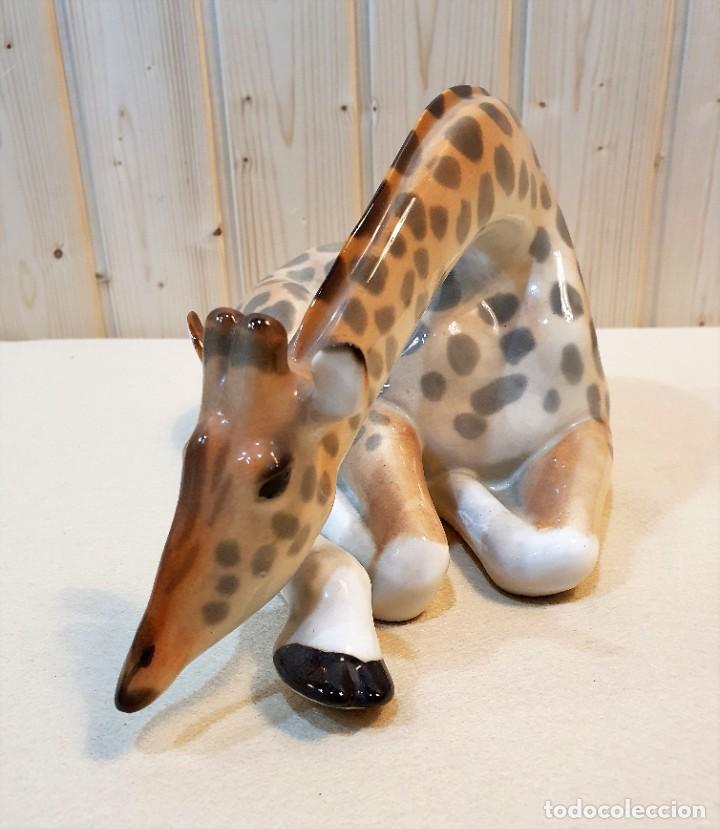 Antig&uuml;edades: FIGURA DE PORCELA - Foto 4