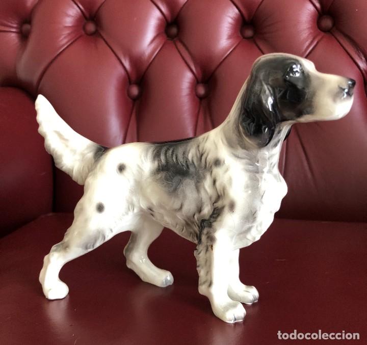 Antig&uuml;edades: PERRO SETTER PORCELANA - Foto 1