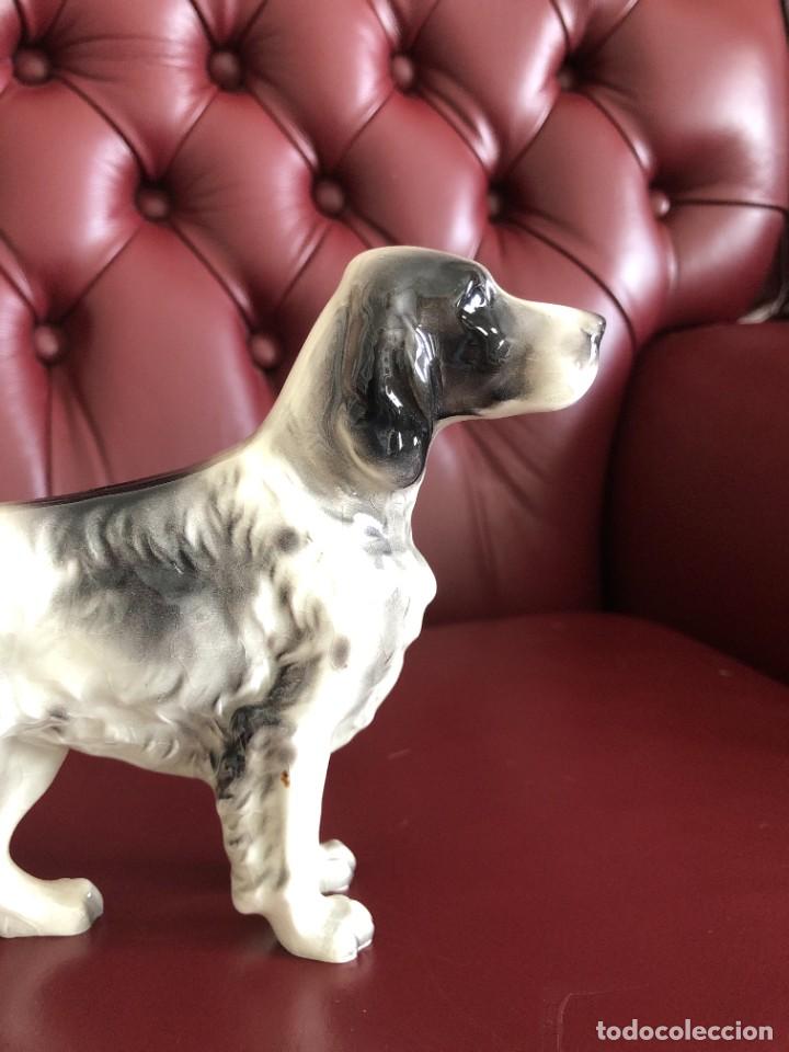 Antig&uuml;edades: PERRO SETTER PORCELANA - Foto 2