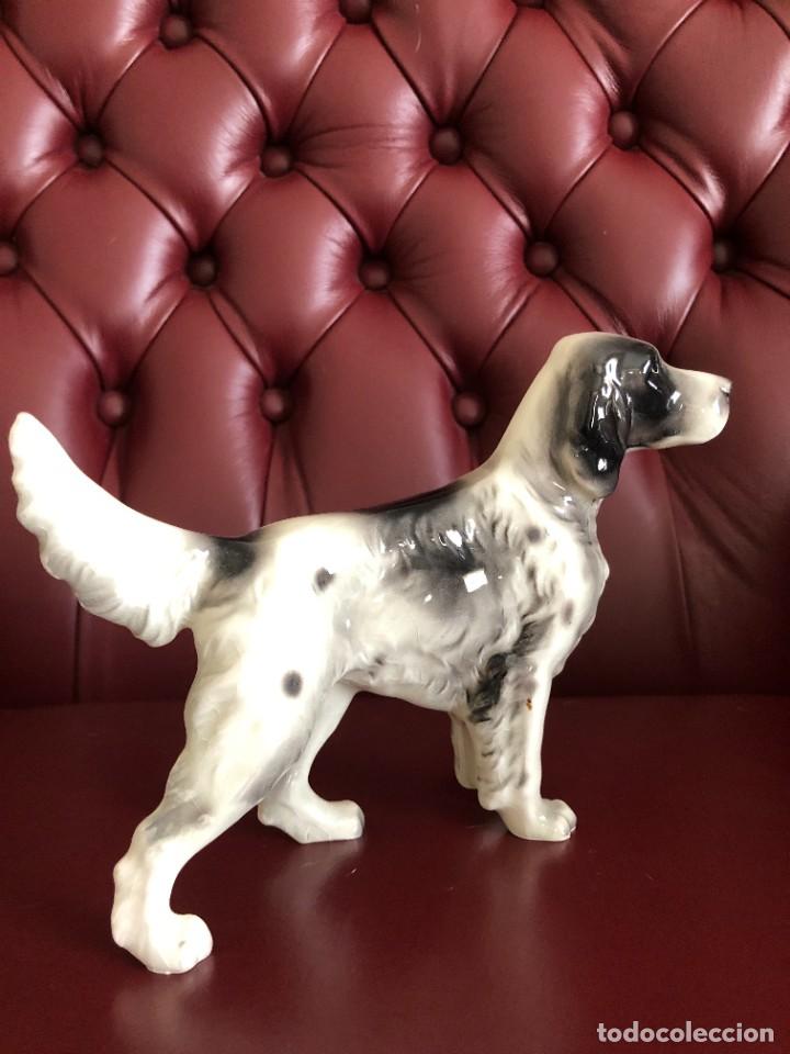 Antig&uuml;edades: PERRO SETTER PORCELANA - Foto 3
