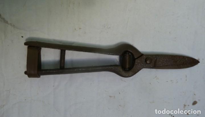 Antig&uuml;edades: TIJERAS DE PODAR RECTAS - Foto 5