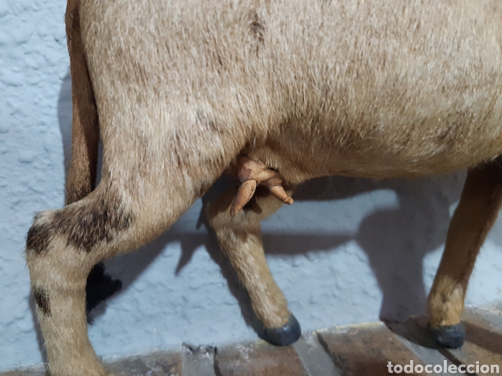 Antig&uuml;edades: Vaca hecha a mano de piel y pelo - Foto 3