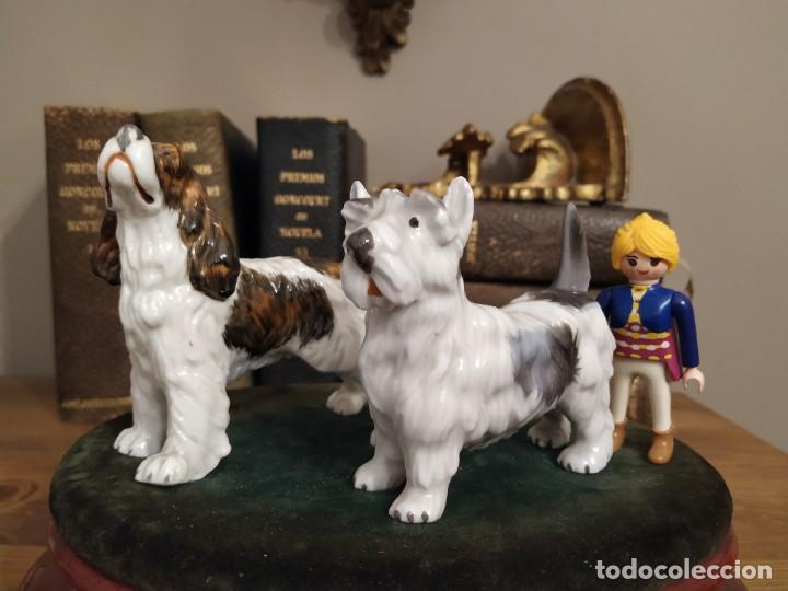 Antig&uuml;edades: PAREJA PERROS PORCELANA - Foto 1