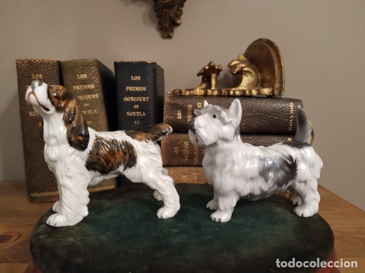 Antig&uuml;edades: PAREJA PERROS PORCELANA - Foto 2