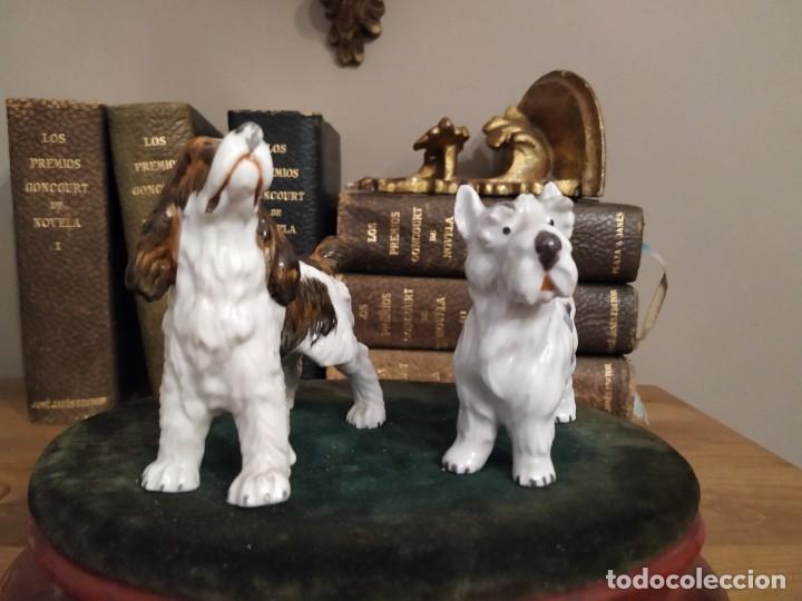 Antig&uuml;edades: PAREJA PERROS PORCELANA - Foto 3