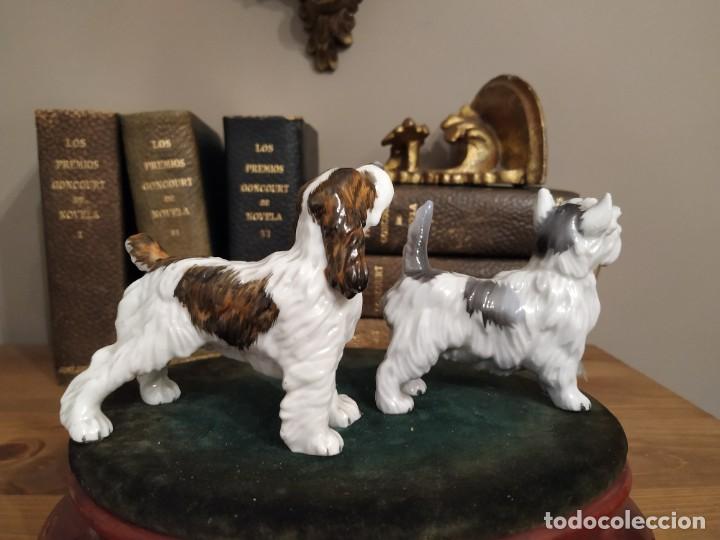 Antig&uuml;edades: PAREJA PERROS PORCELANA - Foto 4