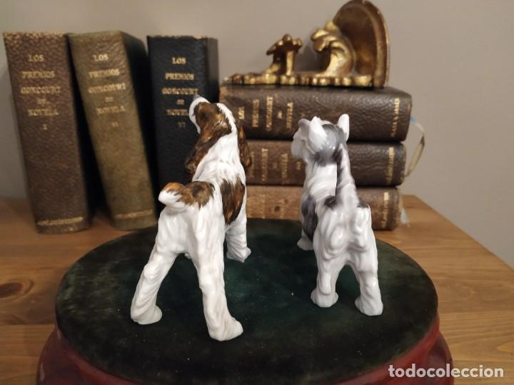 Antig&uuml;edades: PAREJA PERROS PORCELANA - Foto 5