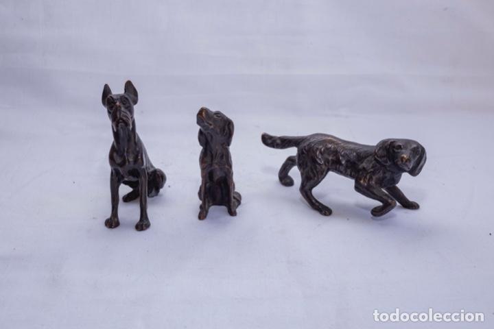 Antiguidades: Perros de Bronce