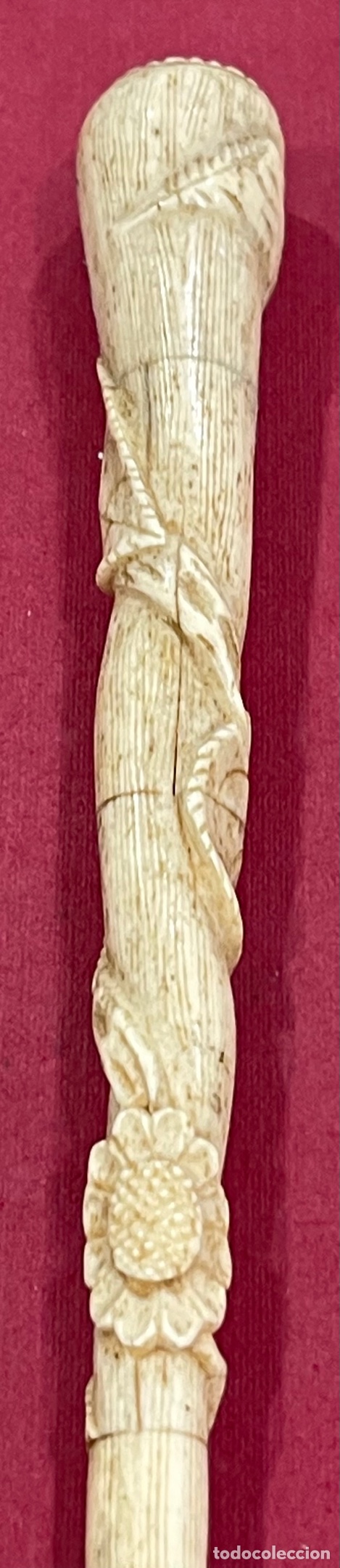 Antigüedades: Antiguo mango para bastón de paseo, en hueso tallado. - Foto 4 - 271583598