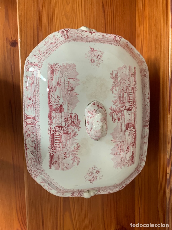 Antig&uuml;edades: Fabulosa sopera de sargadelos - Foto 2