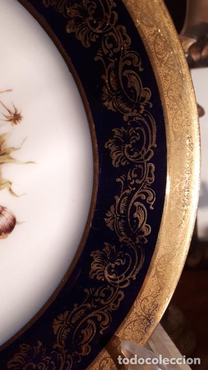 Antig&uuml;edades: Plato porcelana de Limoges - Foto 6