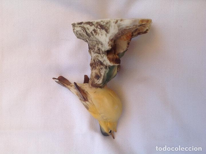 Antig&uuml;edades: P&aacute;jaro de biscuit europeo - Foto 2