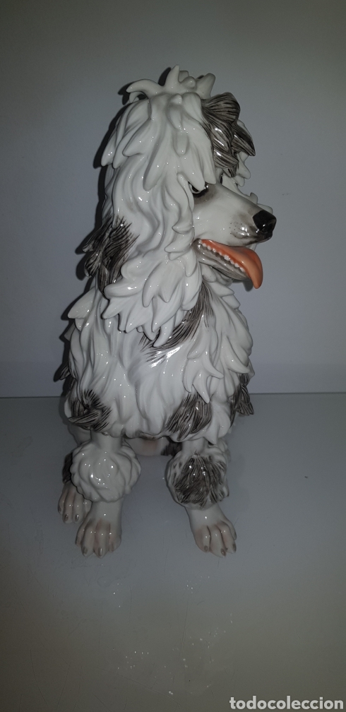 Antig&uuml;edades: Perro de Algora - Foto 2