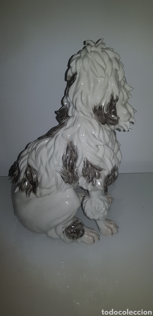 Antig&uuml;edades: Perro de Algora - Foto 3