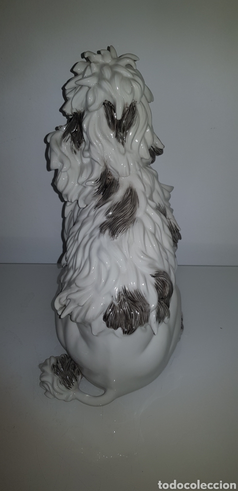 Antig&uuml;edades: Perro de Algora - Foto 4