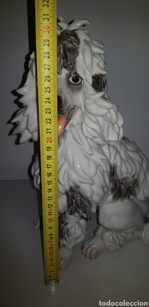 Antig&uuml;edades: Perro de Algora - Foto 7