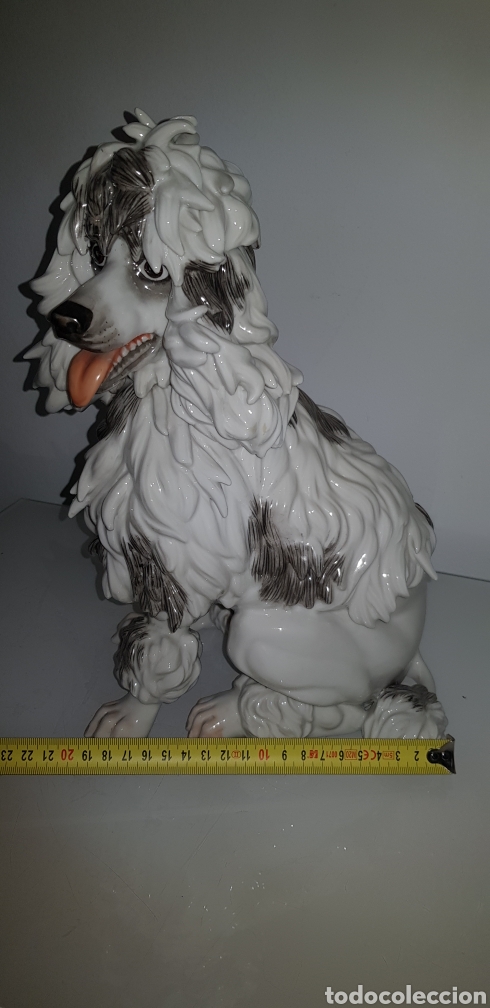 Antig&uuml;edades: Perro de Algora - Foto 8
