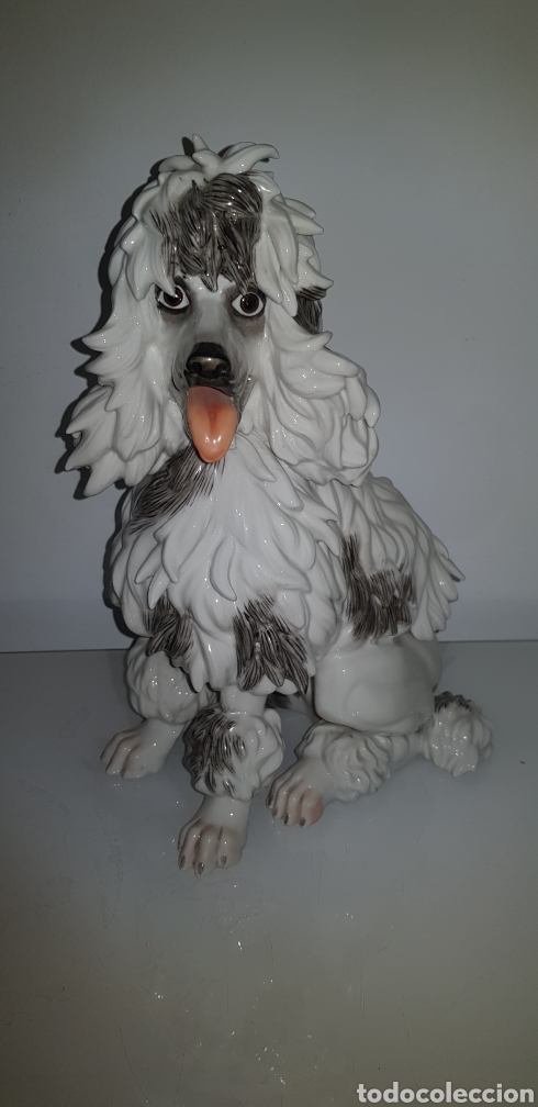 Antig&uuml;edades: Perro de Algora - Foto 1