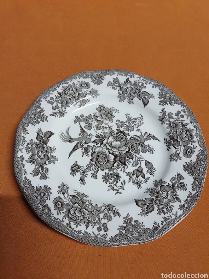 Antig&uuml;edades: Plato Porcelana Inglesa - Foto 1