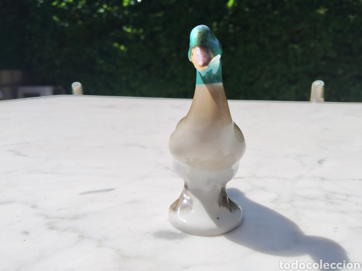 Antig&uuml;edades: PATO DE PORCELANA - Foto 2