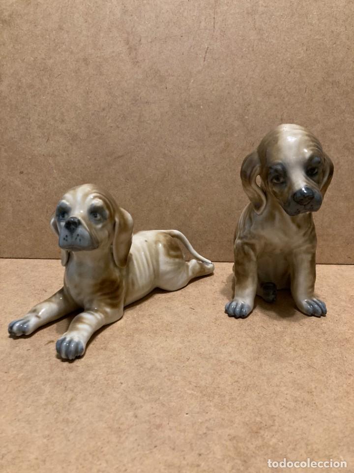 Antig&uuml;edades: Pareja de perros de Leonardo Peyr&oacute; - Foto 2