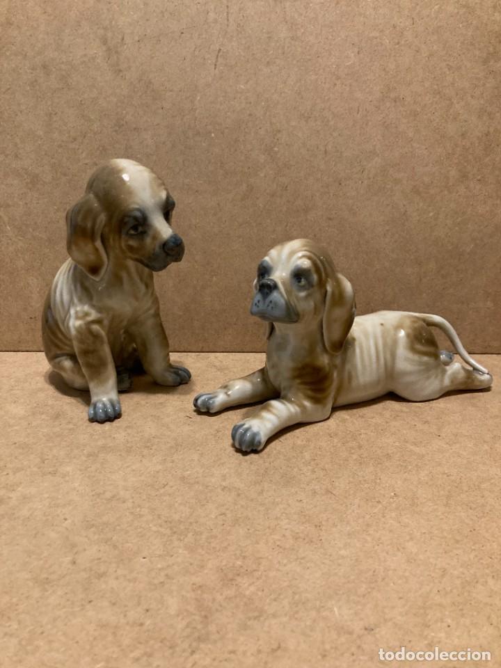 Antig&uuml;edades: Pareja de perros de Leonardo Peyr&oacute; - Foto 3