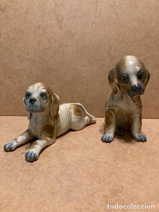 Antig&uuml;edades: Pareja de perros de Leonardo Peyr&oacute; - Foto 1